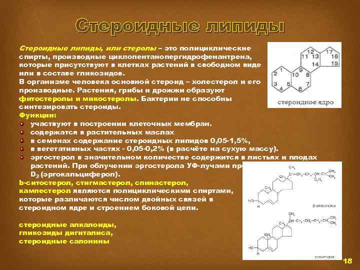 Стероидные липиды, или стеролы – это полициклические спирты, производные циклопентанопергидрофенантрена, которые присутствуют в клетках