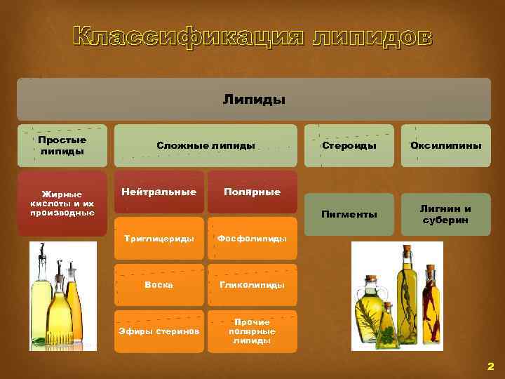 Классификация липидов Липиды Простые липиды Жирные кислоты и их производные Сложные липиды Оксилипины Пигменты