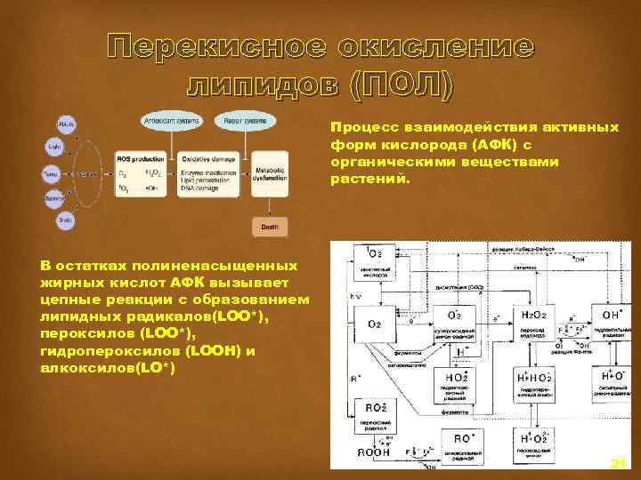 Органические процессы