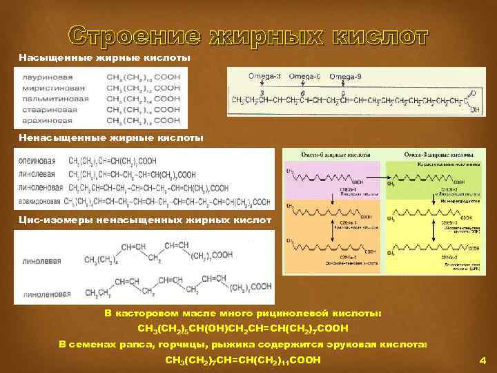 Строение жирных кислот Насыщенные жирные кислоты Ненасыщенные жирные кислоты Цис-изомеры ненасыщенных жирных кислот В