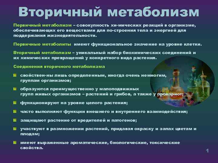 Вторичный метаболизм Первичный метаболизм – совокупность хи мических реакций в организме, обеспечивающих его веществами