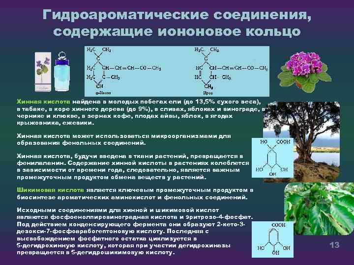 Гидроароматические соединения, содержащие иононовое кольцо Хинная кислота найдена в молодых побегах ели (до 13,