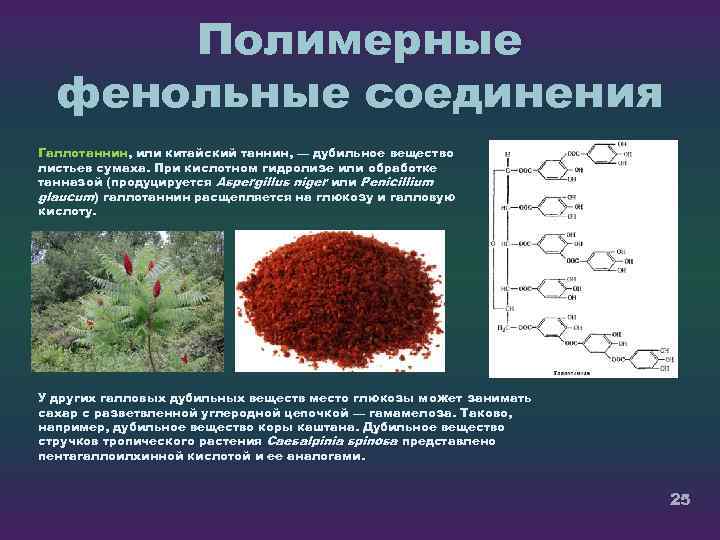 Полимерные фенольные соединения Галлотаннин, или китайский таннин, — дубильное вещество листьев сумаха. При кислотном