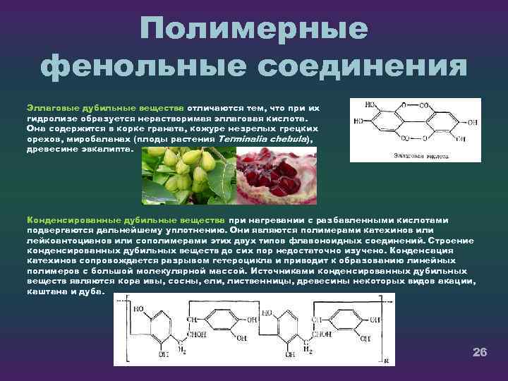 Полимерные фенольные соединения Эллаговые дубильные вещества отличаются тем, что при их гидролизе образуется нерастворимая