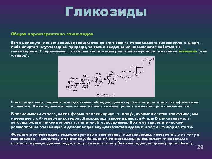 Гликозиды Общая характеристика гликозидов Если молекула моносахарида соединяется за счет своего гликозидного гидроксила с