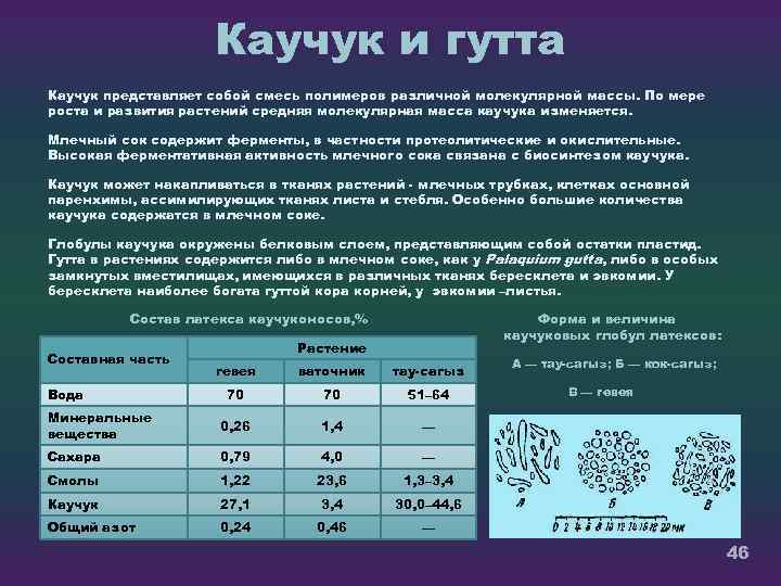 Каучук и гутта Каучук представляет собой смесь полимеров различной молекулярной массы. По мере роста