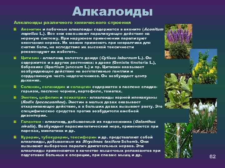 Алкалоиды различного химического строения Аконитин и побочные алкалоиды содержатся в аконите (Aconitum napellus L.