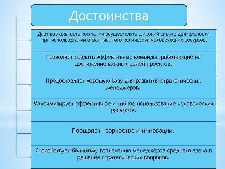 Достоинства Дает возможность компании осуществлять широкий спектр деятельности при использовании ограниченного количества человеческих ресурсов.