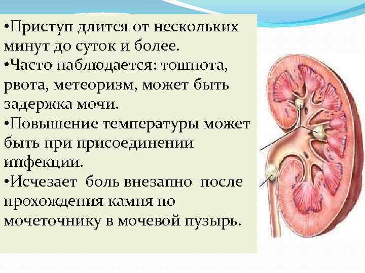  • Приступ длится от нескольких минут до суток и более. • Часто наблюдается: