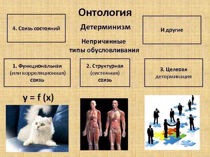 Онтология 4. Связь состояний Детерминизм И другие Непричинные типы обусловливания 1. Функциональная (или корреляционная)