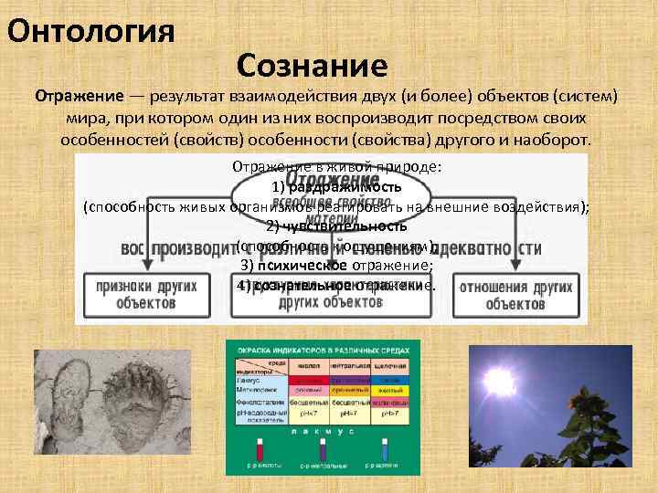 Сознание как отражение