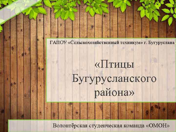  ГАПОУ «Сельскохозяйственный техникум» г. Бугуруслана «Птицы Бугурусланского района» 1 Волонтёрская студенческая команда «ОМОН»