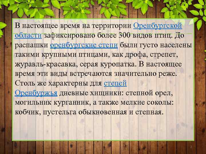 В настоящее время на территории Оренбургской области зафиксировано более 300 видов птиц. До распашки
