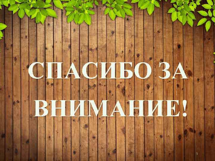 СПАСИБО ЗА ВНИМАНИЕ! 9 