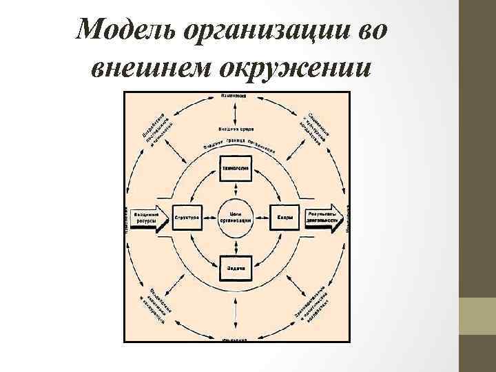 Модель организации во внешнем окружении 