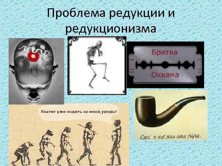 Проблема редукции и редукционизма 