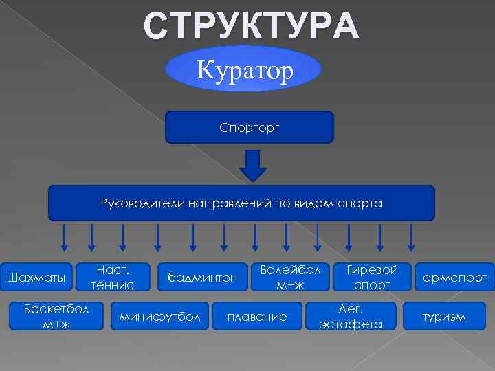 СТРУКТУРА Куратор Спорторг Руководители направлений по видам спорта Шахматы Баскетбол м+ж Наст. теннис бадминтон