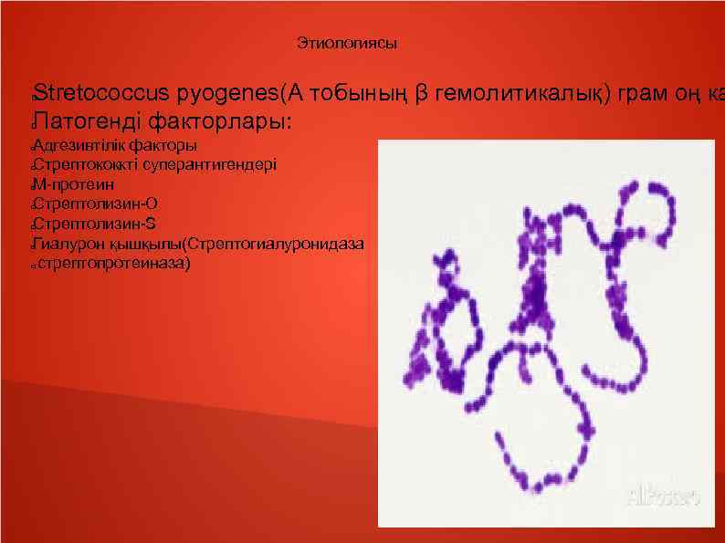 Этиологиясы Stretococcus pyogenes(А тобының β гемолитикалық) грам оң ка Патогенді факторлары: Адгезивтілік факторы Стрептококкті