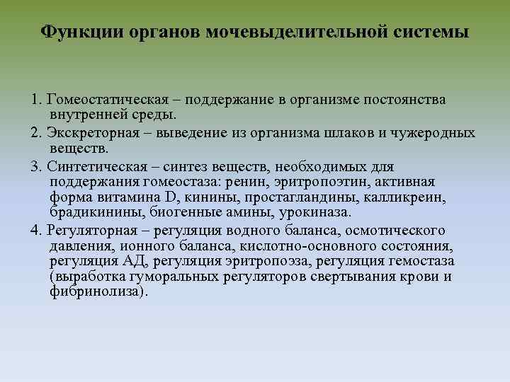 Функции органов мочевыделительной системы 1. Гомеостатическая – поддержание в организме постоянства внутренней среды. 2.