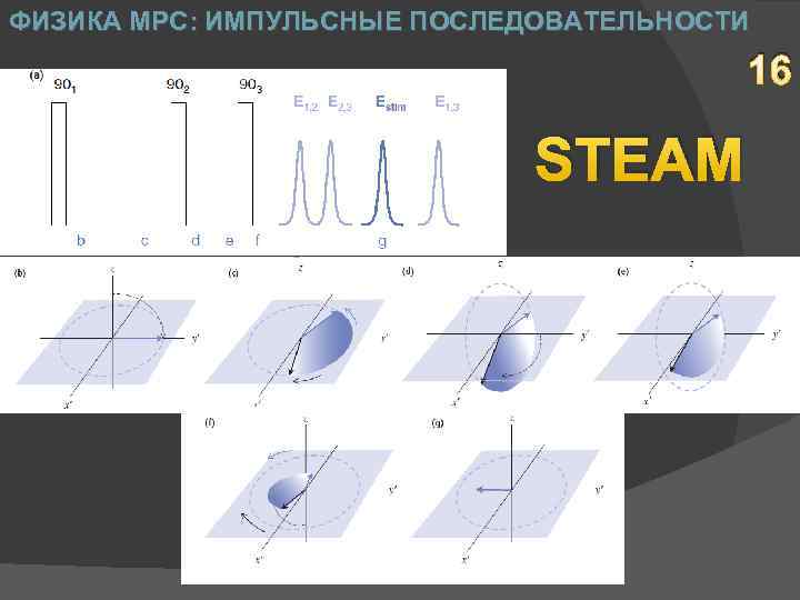 ФИЗИКА МРС: ИМПУЛЬСНЫЕ ПОСЛЕДОВАТЕЛЬНОСТИ 16 STEAM 