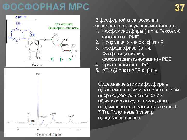 ФОСФОРНАЯ МРС α β γ 37 В фосфорной спектроскопии определяют следующие метаболиты: 1. Фосфомоноэфиры