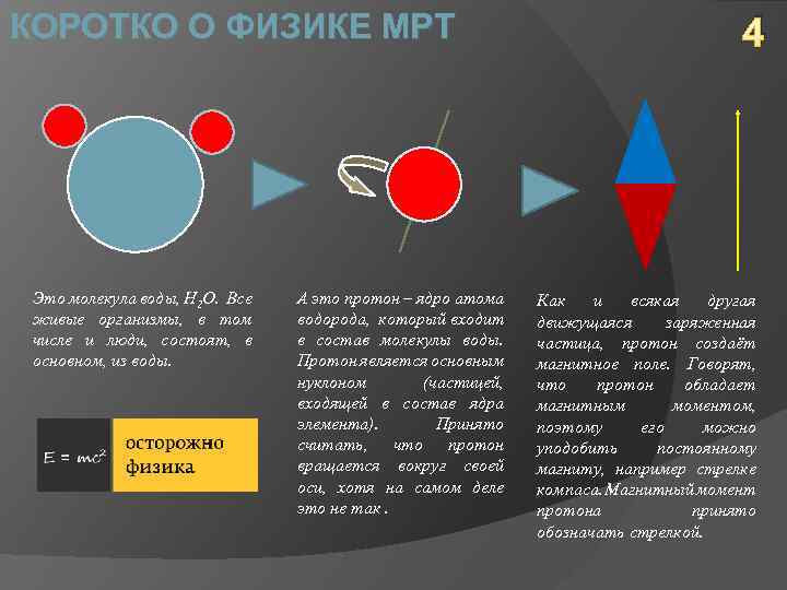 КОРОТКО О ФИЗИКЕ МРТ Это молекула воды, H 2 O. Все живые организмы, в