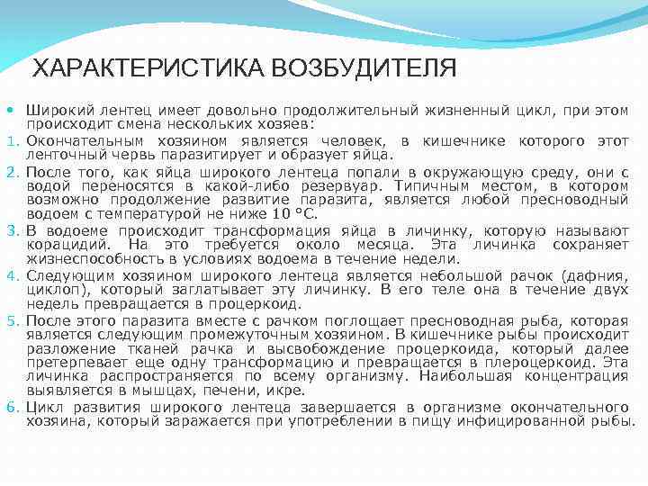 ХАРАКТЕРИСТИКА ВОЗБУДИТЕЛЯ Широкий лентец имеет довольно продолжительный жизненный цикл, при этом происходит смена нескольких