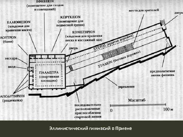 Эллинистический гимнасий в Приене 