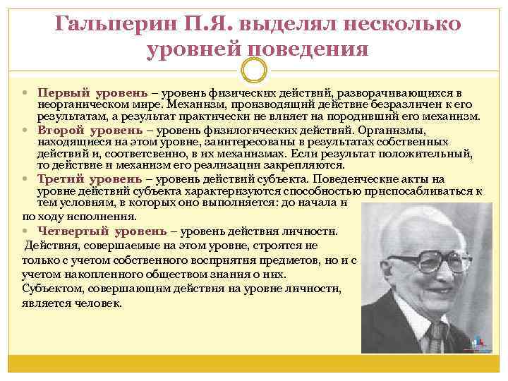 П я гальперин н ф. Гальперин вклад в психологию. Гальперин педагогика.