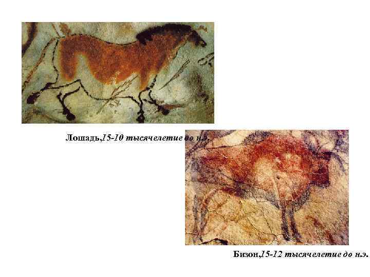 Лошадь, 15 -10 тысячелетие до н. э. Бизон, 15 -12 тысячелетие до н. э.
