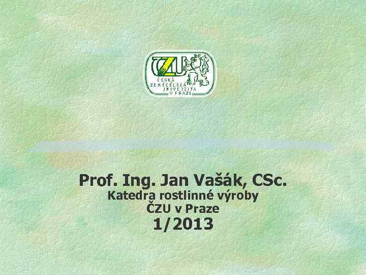 Prof. Ing. Jan Vašák, CSc. Katedra rostlinné výroby ČZU v Praze 1/2013 