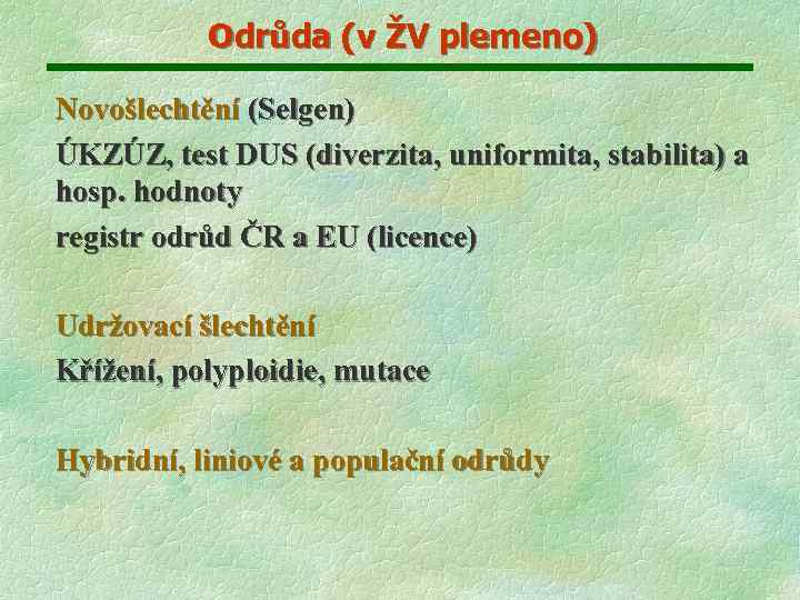 Odrůda (v ŽV plemeno) Novošlechtění (Selgen) ÚKZÚZ, test DUS (diverzita, uniformita, stabilita) a hosp.