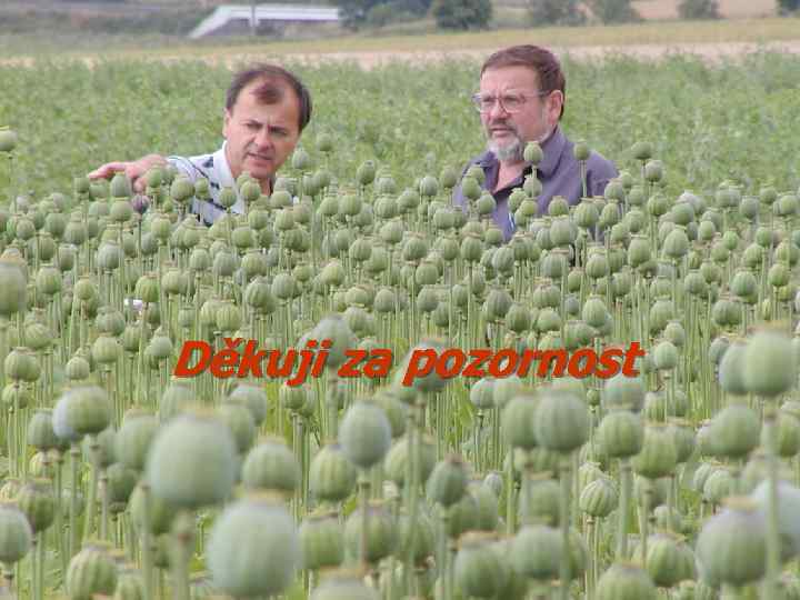 Děkuji za pozornost 