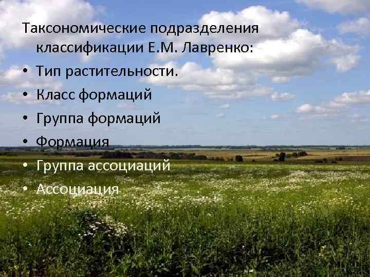 Таксономические подразделения классификации Е. М. Лавренко: • Тип растительности. • Класс формаций • Группа