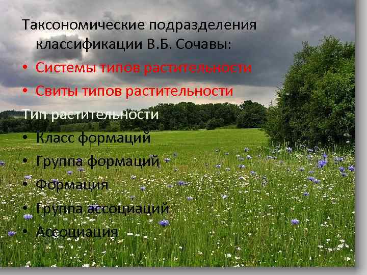 Таксономические подразделения классификации В. Б. Сочавы: • Системы типов растительности • Свиты типов растительности