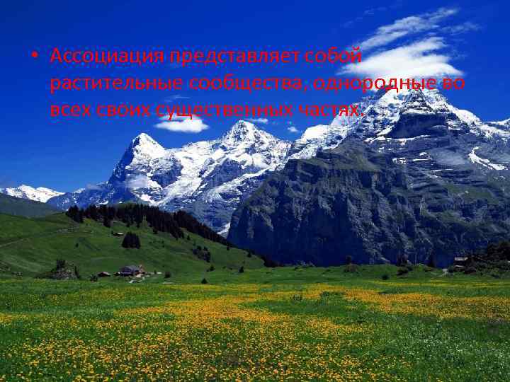  • Ассоциация представляет собой растительные сообщества, однородные во всех своих существенных частях. 