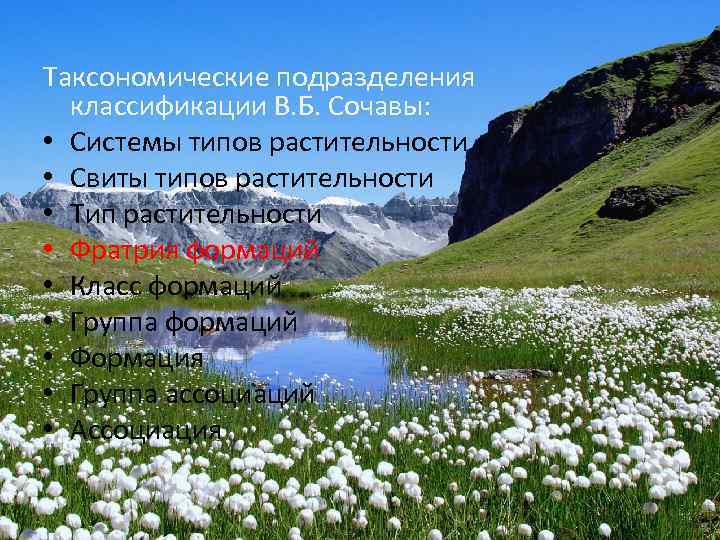 Таксономические подразделения классификации В. Б. Сочавы: • Системы типов растительности • Свиты типов растительности