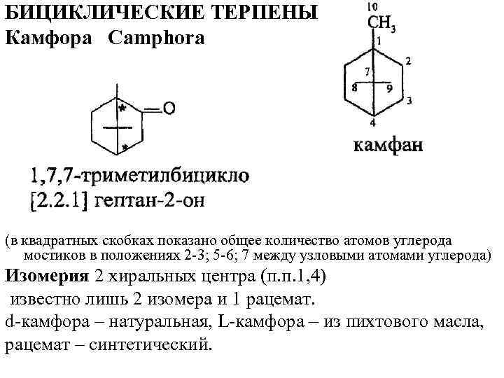 БИЦИКЛИЧЕСКИЕ ТЕРПЕНЫ Камфора Camphora (в квадратных скобках показано общее количество атомов углерода мостиков в