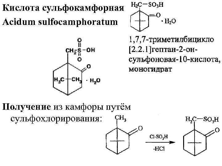 Кислота сульфокамфорная Acidum sulfocamphoratum Получение из камфоры путём сульфохлорирования: 