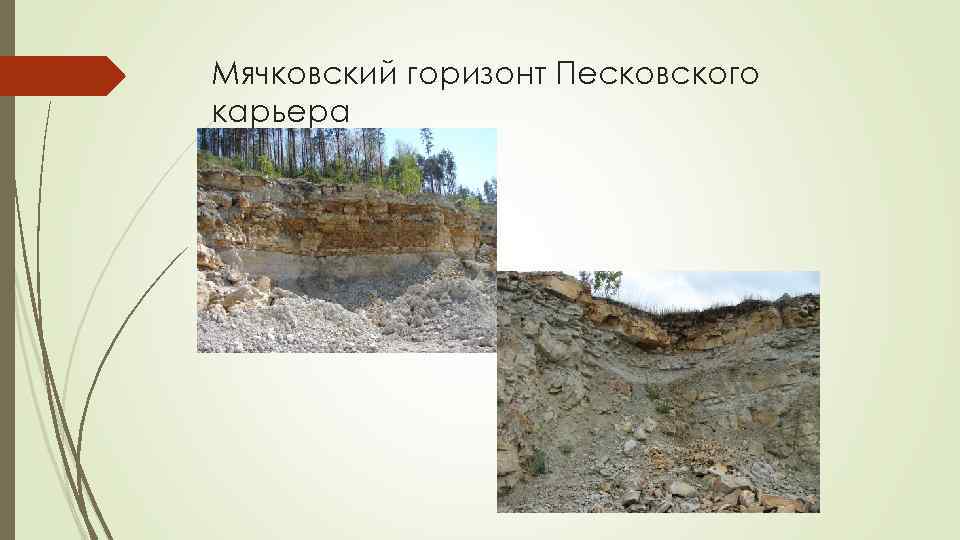 Мячковский горизонт Песковского карьера 