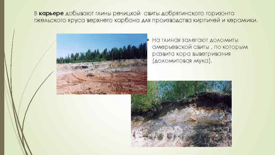 В карьере добывают глины речицкой свиты добрятинского горизонта гжельского яруса верхнего карбона для производства