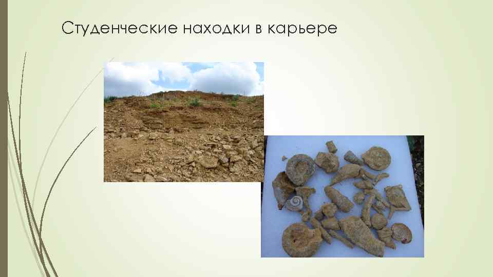 Студенческие находки в карьере 