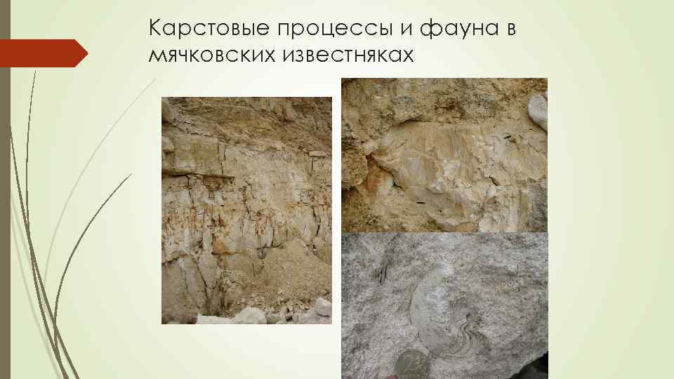 Карстовые процессы и фауна в мячковских известняках 