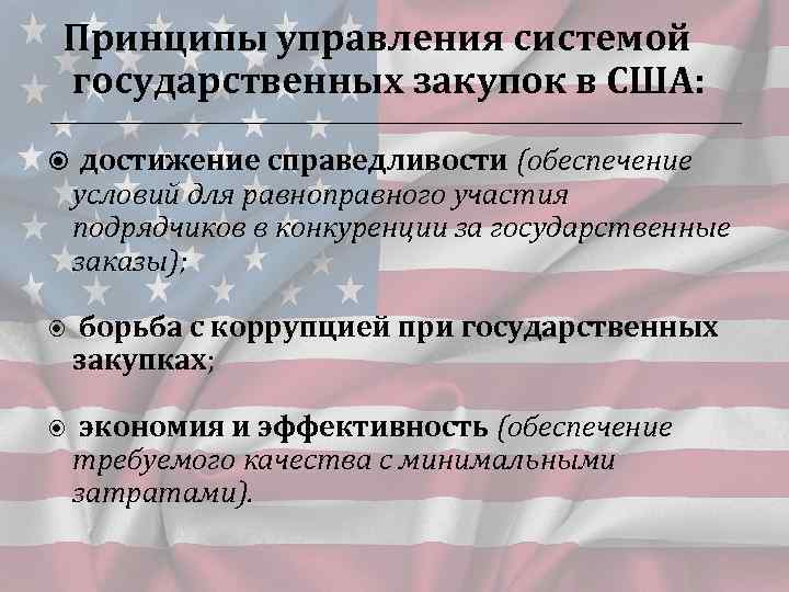  Принципы управления системой государственных закупок в США: достижение справедливости (обеспечение условий для равноправного