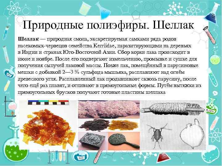 Природные полиэфиры. Шеллак — природная смола, экскретируемая самками ряда родов насекомых-червецов семейства Kerriidae, паразитирующими