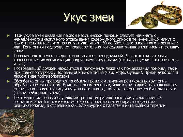 Укус змеи ► ► ► При укусе змеи оказание первой медицинской помощи следует начинать