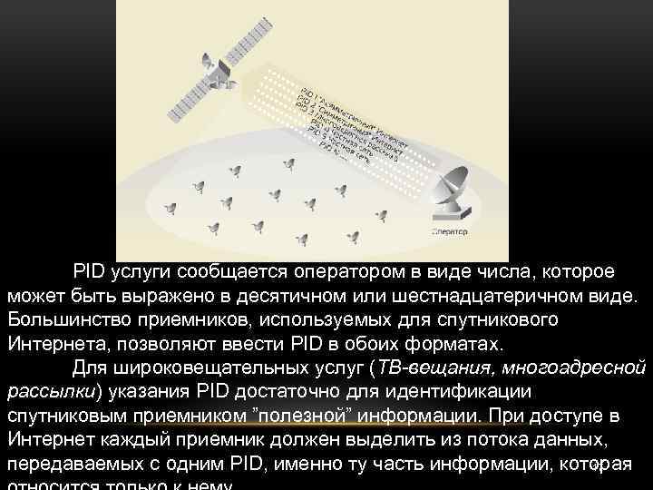 PID услуги сообщается оператором в виде числа, которое может быть выражено в десятичном или