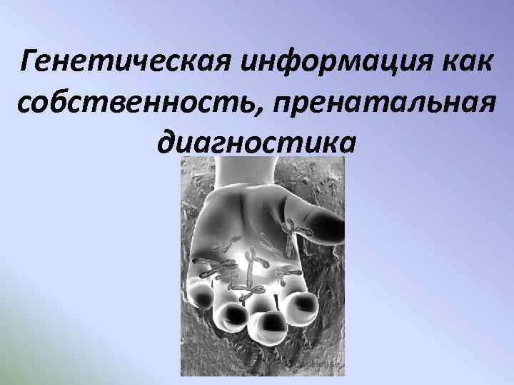 Генетическая информация как собственность, пренатальная диагностика 
