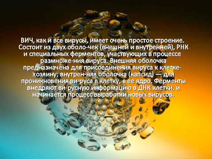 ВИЧ, как и все вирусы, имеет очень простое строение. Состоит из двух оболо чек