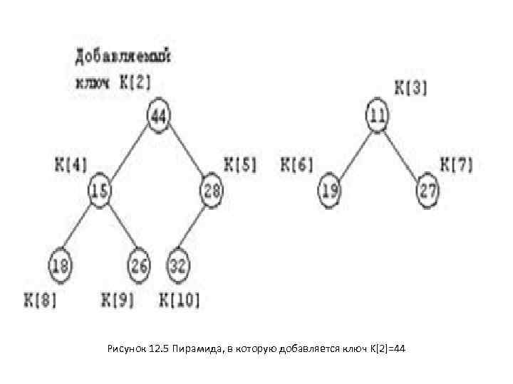 Рисунок 12. 5 Пирамида, в которую добавляется ключ K[2]=44 